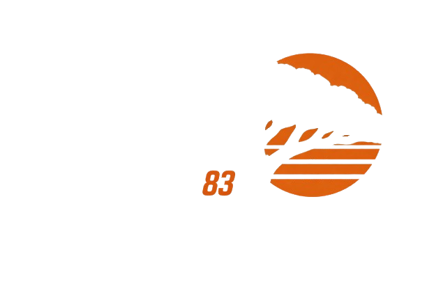 Taille-Arbre-83